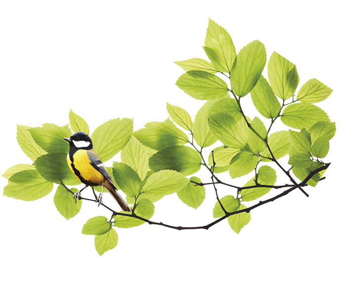 Единый семинар 1С